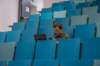 _dsc0458_small.jpg